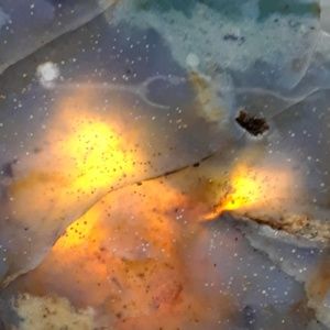 Meet your Posher, Rakish Wardrobe